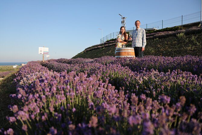 Aroma sampling of 5 Bulgarian Lavender varieties at DiVes Winery - Practical tips to make your 40 minutes count