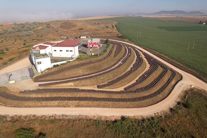 Aroma sampling of 5 Bulgarian Lavender varieties at DiVes Winery - The timing: flowering usually starts around June 1