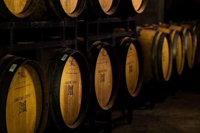 Chateau Copsa Wine Tasting Tours & Activities - How long should you book: 1 to 8 hours in real life