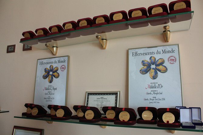 Edoardo Miroglio Private Boutique Winery Tour - Behind the scenes: hands-on production time (and what it usually teaches you)
