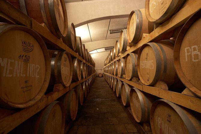 Edoardo Miroglio Private Boutique Winery Tour - Lunch included: what you should expect from the food break