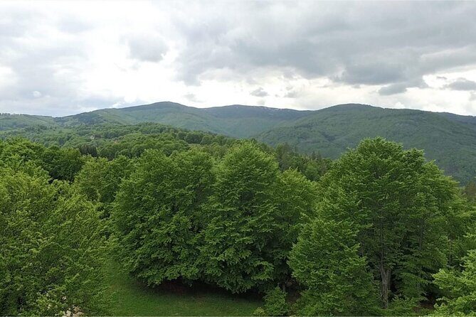 From Sofia: Serbia and Macedonia Trip - What’s included in the ride and why it’s good value