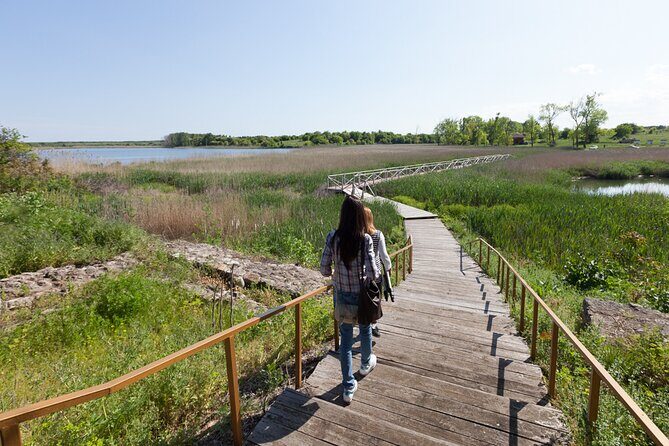 Full-Day Private Sightseeing Tour to the North of Varna - Cape Kaliakra: 70-meter cliffs, ruins, and dolphin-spotting odds