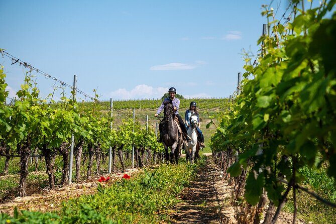 Half-Day of Horseback Adventure with Wine Tasting - Key highlights to know before you ride