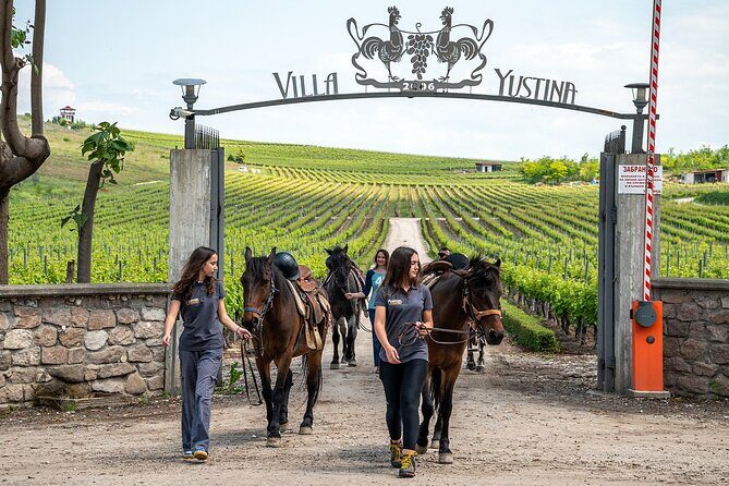 Half-Day of Horseback Adventure with Wine Tasting - Setting off from Yustina Vineyard Park with real countryside momentum