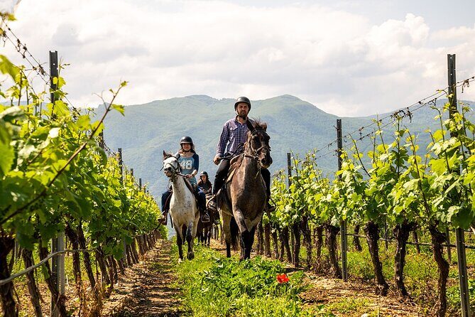 Half-Day of Horseback Adventure with Wine Tasting - Red Church: a cultural stop that makes the ride feel complete