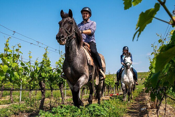 Half-Day of Horseback Adventure with Wine Tasting - Wine tasting at the end: your 18+ reward with local grapes