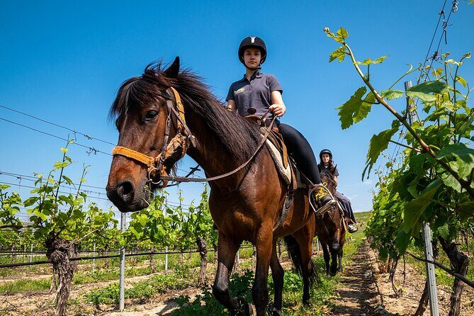 Half-Day of Horseback Adventure with Wine Tasting - Price and value: what $179.01 buys you in real terms