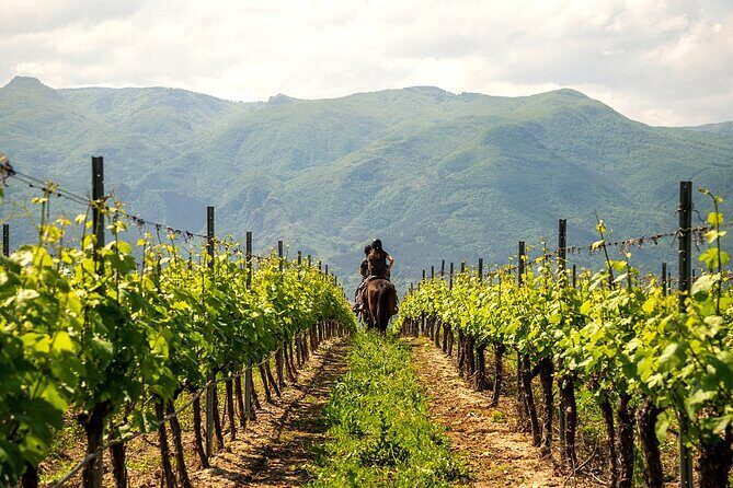 Half-Day of Horseback Adventure with Wine Tasting - Booking basics that matter (and what to watch)