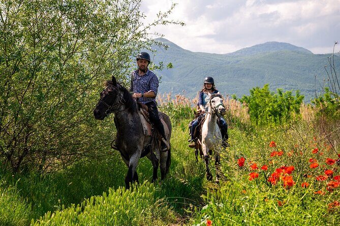 Half-Day of Horseback Adventure with Wine Tasting - The horseback route: vineyards, rivers, and Rhodope foothills
