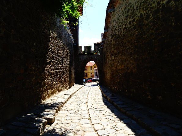 Plovdiv and Perushtitsa Day Trip with Wine Tasting from Sofia - Should You Book This Plovdiv and Perushtitsa Wine Day Trip?