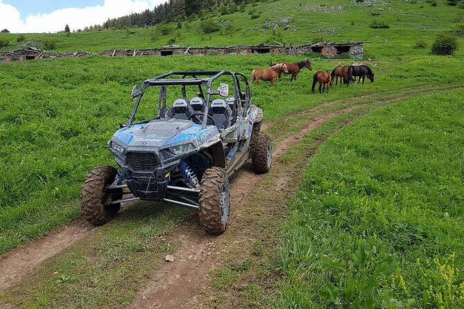 Private 1-Hour Quad or Buggy Safari in Borovets - Who this is best for (and who might not love it)