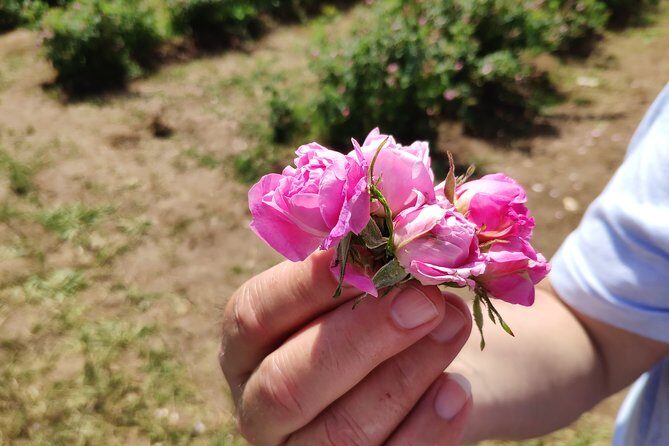 Private Access Rose Festival Kazanlak 05-07.06.2025 - What a great private guide changes