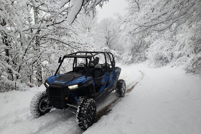 Private Buggy Experience All Seasons in Pamporovo - Quick Hits Before You Go