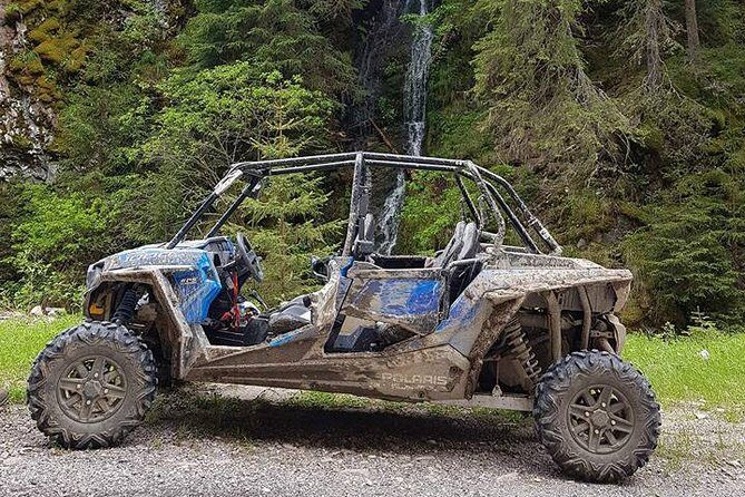 Private Buggy Experience All Seasons in Pamporovo - The 4-seater buggy and what you actually do for 1 hour