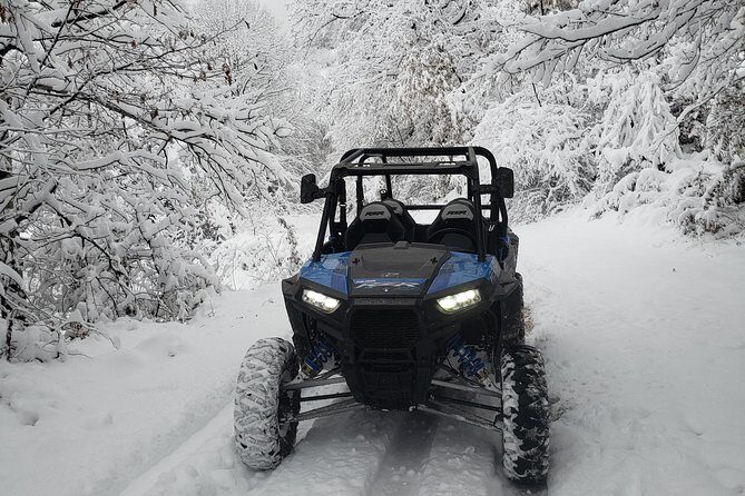 Private Buggy Experience All Seasons in Pamporovo - What you’ll see on the Rhodope forest route