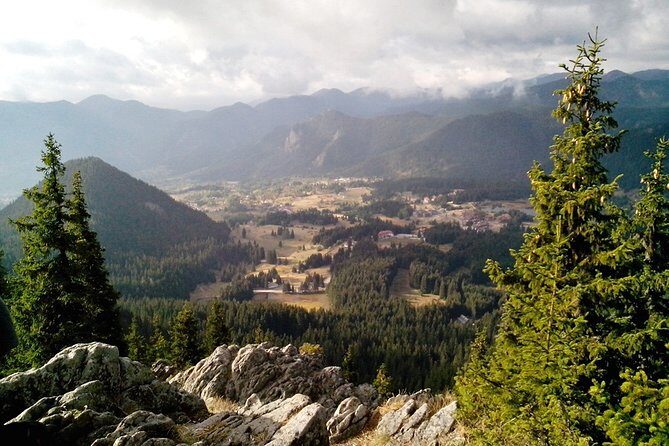 Private Buggy Experience All Seasons in Pamporovo - Meeting at Smolyan without turning it into a headache