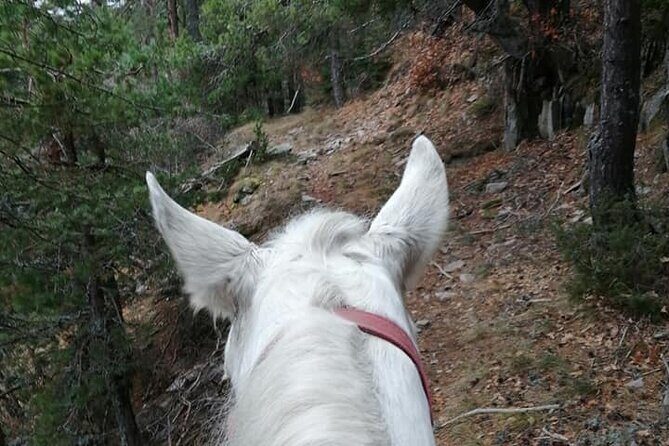 Private Cascades Waterfall Horseback Riding Tour from Smolyan - Two Hours of Horseback and Waterfalls: The Real Appeal
