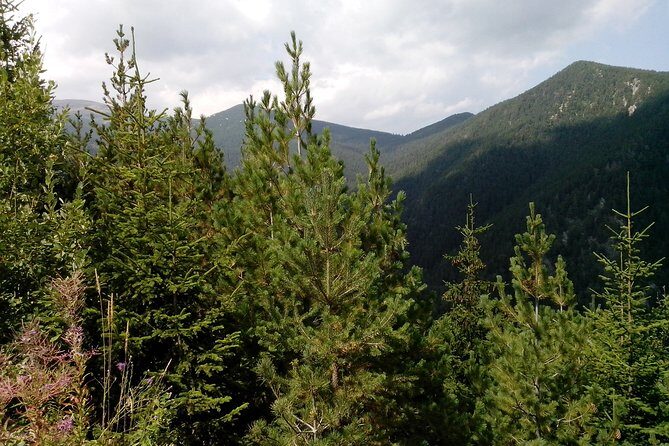 Private Horse Riding in the Balkan from Sofia - Teteven Balkan on horseback: forests, hills, and an easy pace