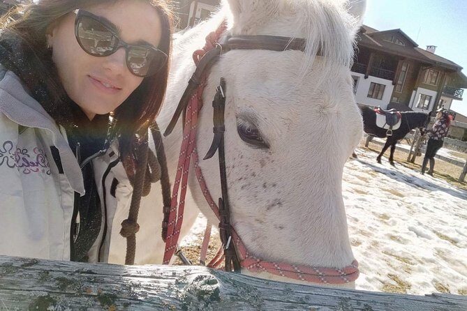 Private Horse Riding in the Balkan from Sofia - Vitosha Mountain riding: the big views factor