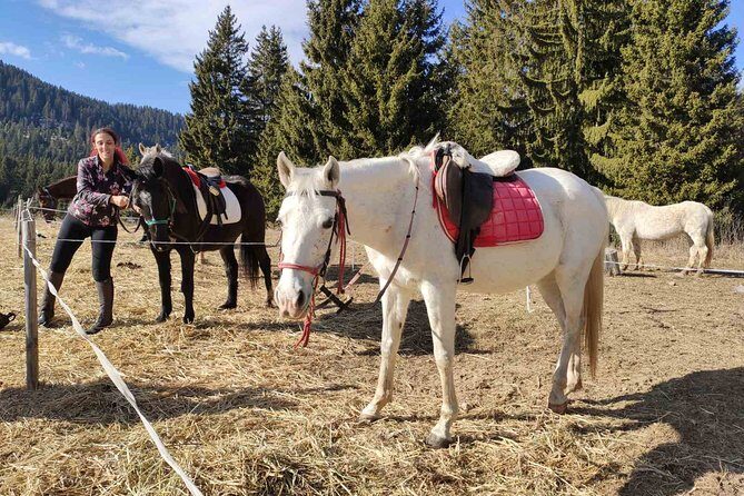 Private Horse Riding in the Balkan from Sofia - Price and value: what you’re really paying for