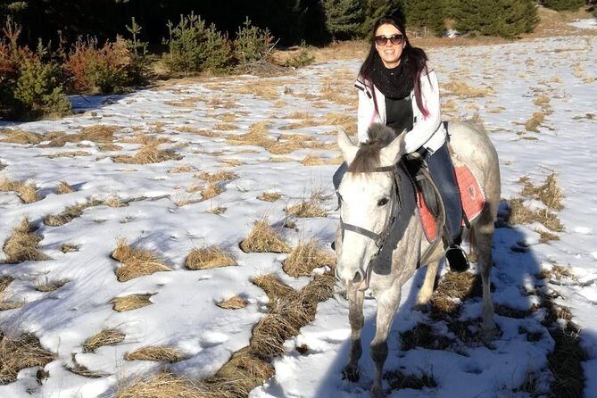 Private Horseback Riding the Rila Range - Meet the horses: East Bulgarian, Shagya Arabian, and helmet-on confidence