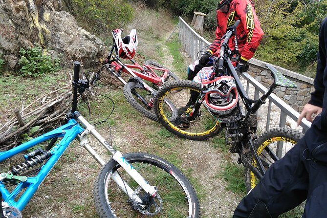 Private Mountain Biking in Vitosha from Sofia - The Vitosha ride: four hours on the mountain with real trail focus