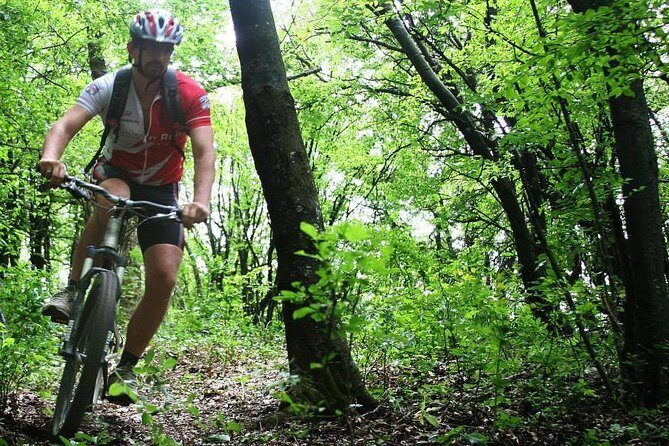 Private Mountain Biking in Vitosha from Sofia - The hardtail bike setup: what you’re actually getting