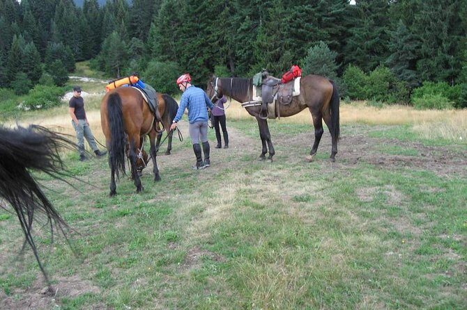 Rila Trail Riding for Experienced Riders - What the 8:00 am Day Looks Like (4–8 Hours Total)