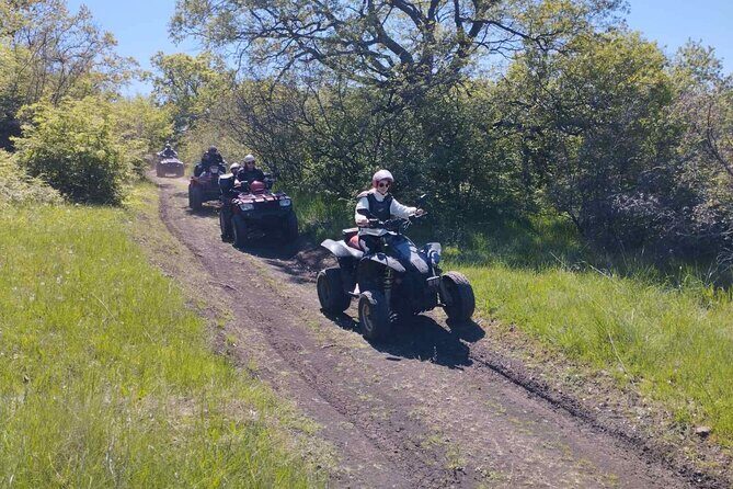 Southern Black Sea Quad Bikes Fun - Who this is best for (and who should rethink it)