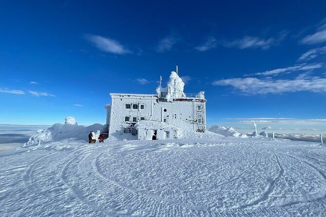 The Best of Sofia: Magical Snowshoeing Adventure in Vitosha & SPA - Pickup, small groups, and timing in Sofia winter