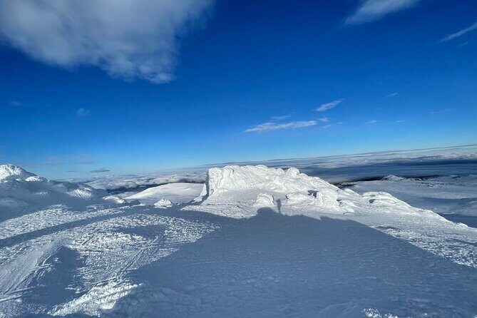 The Best of Sofia: Magical Snowshoeing Adventure in Vitosha & SPA - Who should book this snowshoe day (and who should consider another plan)