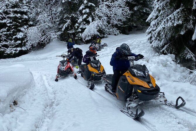 The Ultimate Snowmobile Adventure - 7 Rila Lakes & Panichishte - What’s included: the stuff that saves you money and time