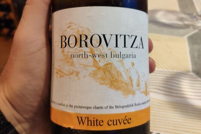Varna Exquisite Wine Tasting - A Varna Wine Break From the Main Sights