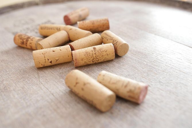 Wine Tasting in Heart of Sofia - Cheeses and craft breads: the pairing that makes flavors click