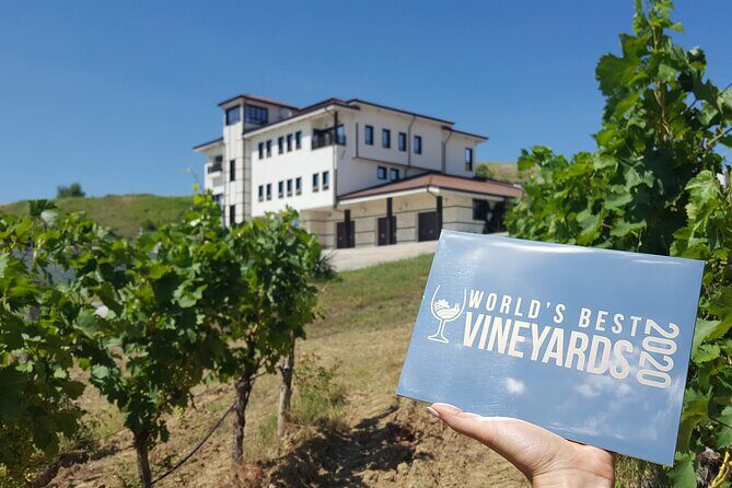 Wine Tasting & More in Villa Melnik – One of the World’s Best Wineries - Key highlights worth knowing