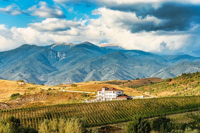 Wine Tasting & More in Villa Melnik – One of the World’s Best Wineries - Villa Melnik in Harsovo: why this winery is worth your time